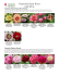 Paeonia-Order-Form 2016