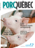 Beau Porc, belle rel&egrave;ve - Les &Eacute;leveurs de porcs du Qu&eacute;bec