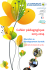 Cahier p&eacute;dagogique 2013-2014 - Communaut&eacute; d`Agglom&eacute;ration