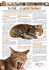 Le chat… un grand dormeur!
