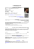 CV PDF FR