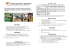 ACTIVITE GYM - MUSCULATION