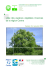 Liste plantes invasives Centre_v2_2