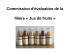Livret de synthèse de l`analyse - Jus de fruit