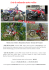 Avis de recherche motos volées