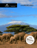 kilimandjaro - Chinook Aventure