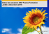 Dates des sessions SAP France Formation Juillet &agrave;