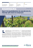 Face &agrave; la mondialisation du march&eacute; du vin, l`Europe plie