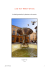 Extrait - Photographies d`Aix-en