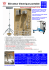 ELEVATEUR ELECTRIQUE PORTABLE - kemtech