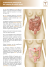 Traitement chirurgical du cancer du côlon droit