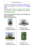 Les arbres en hiver&hellip;