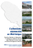 L`urbanisme commercial en Martinique