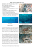 Malpelo, Paradis des plongeurs