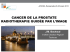 Androgen Deprivation Therapy for the Treatment of Prostate Cancer