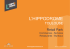 Photos du chantier - L`Hippodrome Toulouse