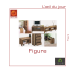 Figure - L`oeil du jour