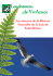 Les Oiseaux de la R&eacute;serve Naturelle de la Baie
