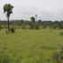 Principaux facteurs environnementaux de la Côte d`Ivoire Principal