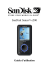 MEGA STICK 528 User`s Manual