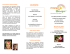 ATELIERS OFFERTS - Maqui-Ô