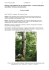 Ethologye and distribution of the "Hermi beetle" in France