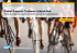 Global Support Customer Interaction