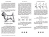 Depliant Standard Official du Cairn Terrier_Layout 1