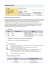 curriculum vitae