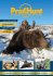 Catalogue de Profi Hunt