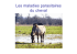Les maladies parasitaires du cheval