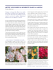Mettez vos roses en bouquets dans la Maison