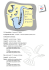 Fiche Poissons d`Avril A T3