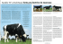 Famille de vache - End-Road