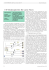 CTP-Erfahrungsbericht: Het Laatste Nieuws