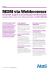 Factsheet MDM via Webbrowser