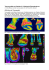 Thermografie am Pferdehuf: Fallbeispiel Eisenabnahme