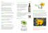 Anwendungen von Topinambur in Fermentationsgetränke