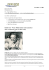 Newsletter 1/2009 - Bock`s Music Shop
