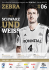 - THW Kiel