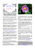 Cistus incanus gegen vorzeitige Alterung und Viren