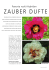 Zauber duftender Blüten