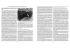 4.1 Zur Ausg 4.1 Zur Ausgestaltung der NV estaltung