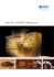 coffee grinder WMK 250