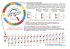 Noten für Tuba in B transponieren