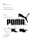 Hausarbeit Unternehmenskommunikation bei PUMA