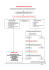 Ablaufschema bei CO-Intoxikation - Universitätsklinikum Halle(Saale)