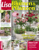 Planz-Ideen mit Rosen Planz