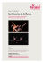 Les Chemins de la Danse