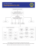 Organigramme du club - Lions Clubs International